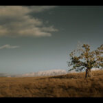 cHO_PZL_Ep202_nathanialtree
