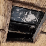 Screenshot 2025-08-17 at 3.14.48 AM